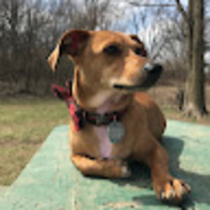 Meet your Posher, Hailey